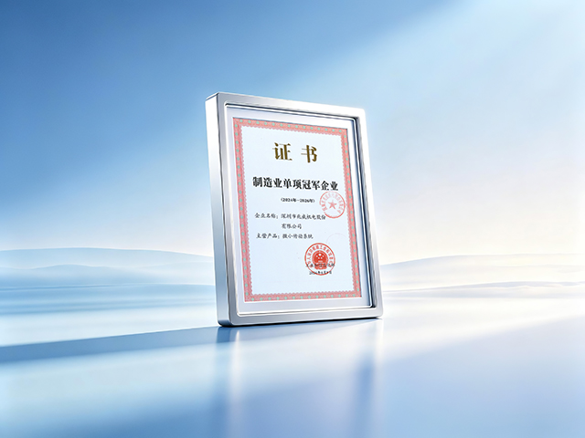 Manufacturing Single Champion Enterprise